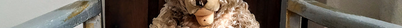 Teddy sitzt auf einem Stuhl