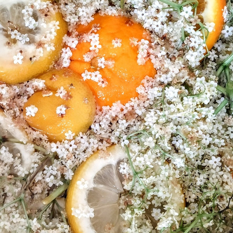 Orangen, Zitronen und Holunderblüten für Sirup nach einem Rezept von Tikiwe®